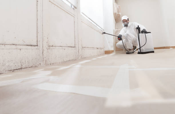 24/7 Emergency Mold Remediation experts in Carol Stream, IL