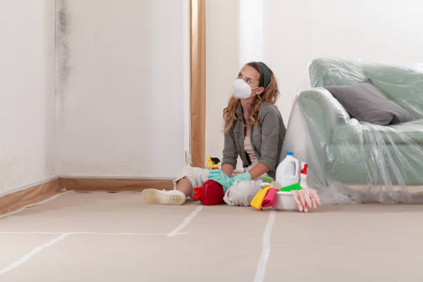Reliable Mold Remediation contractor in Carol Stream, IL by WQB Mold Removal